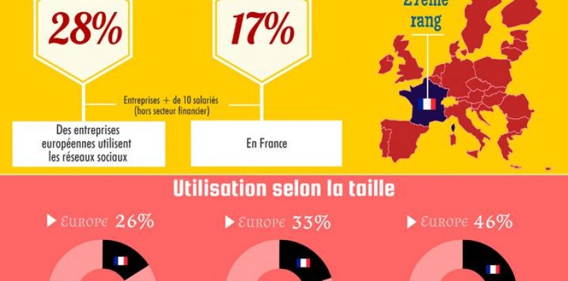 17% des entreprises françaises utilisent les réseaux sociaux