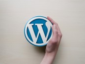 Hébergement web WordPress : nos conseils pratiques pour choisir le bon hébergeur